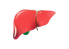 Liver Care